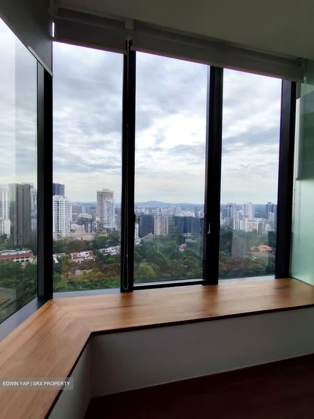 The Scotts Tower (D9), Condominium #589740871